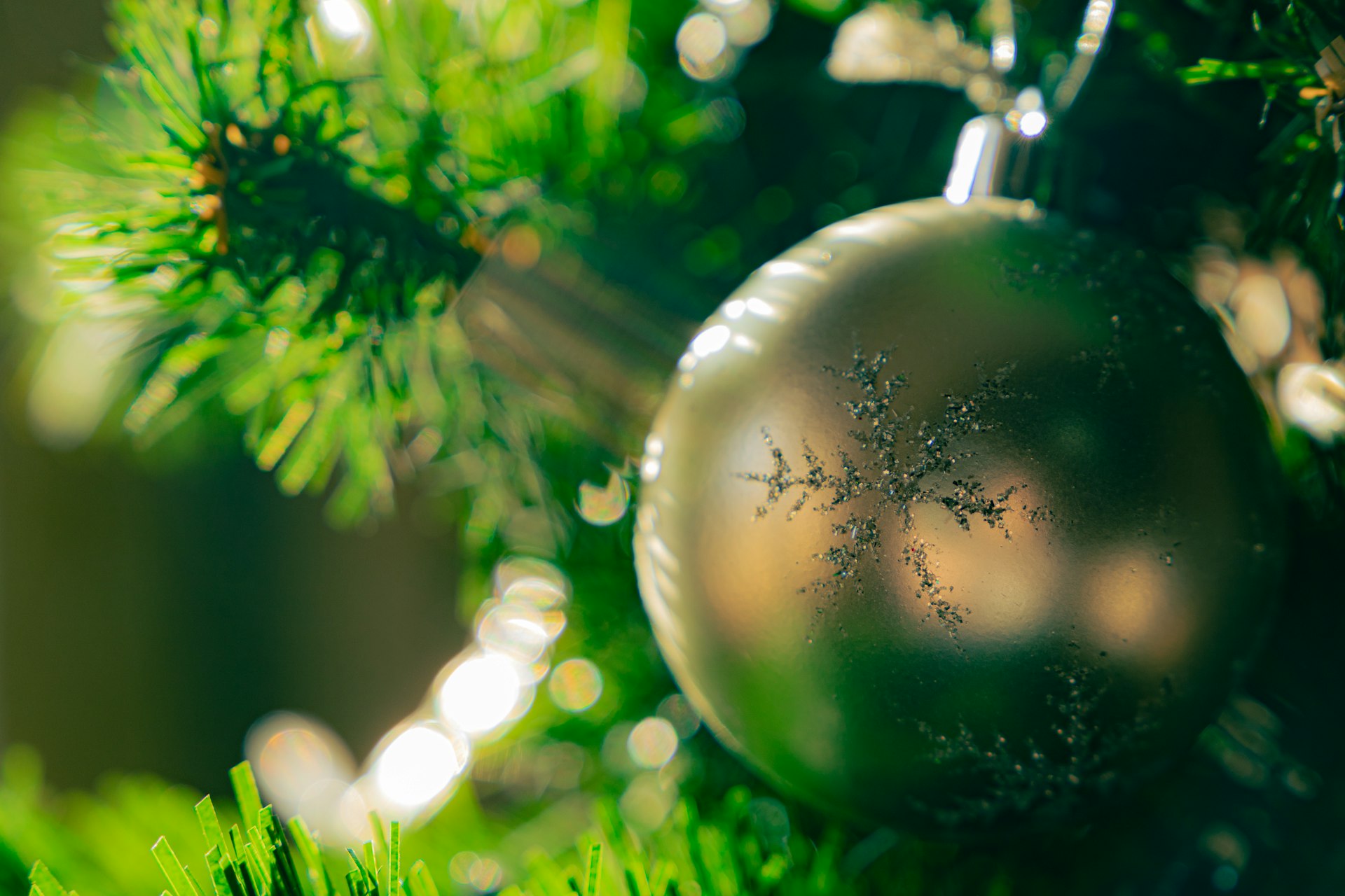 a close-up of a tree